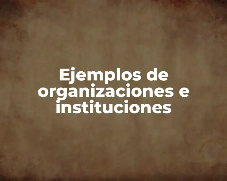 Ejemplos de organizaciones e instituciones