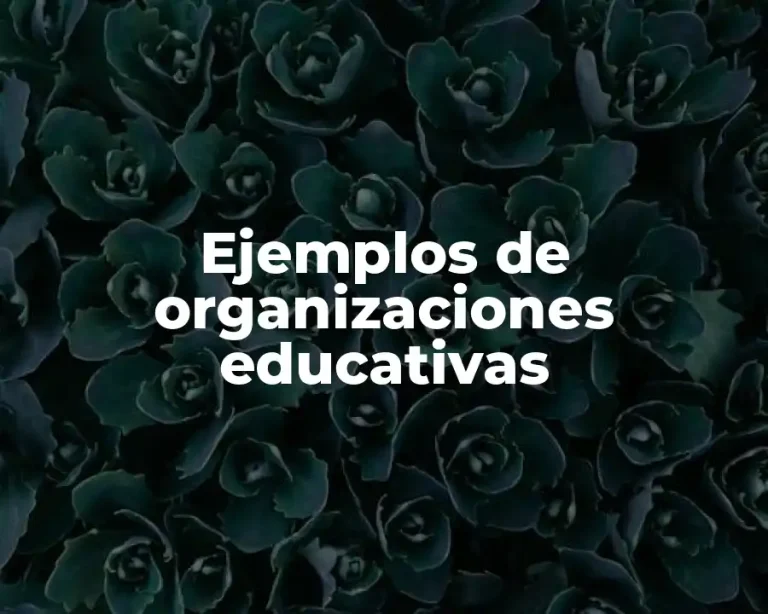 Ejemplos de organizaciones educativas