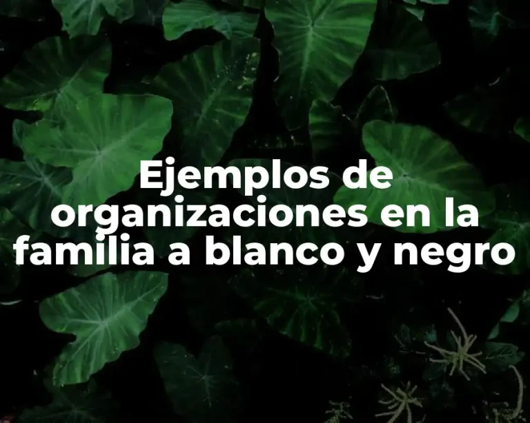 Ejemplos de organizaciones en la familia a blanco y negro