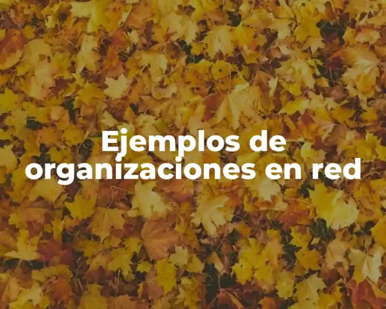 Ejemplos de organizaciones en red