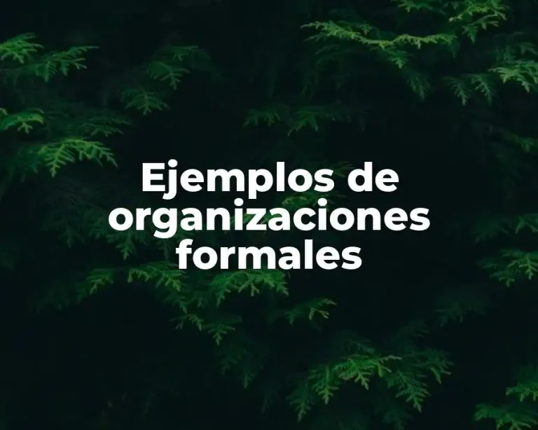 Ejemplos de organizaciones formales