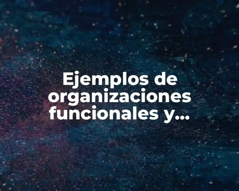 Ejemplos de organizaciones funcionales y Significado