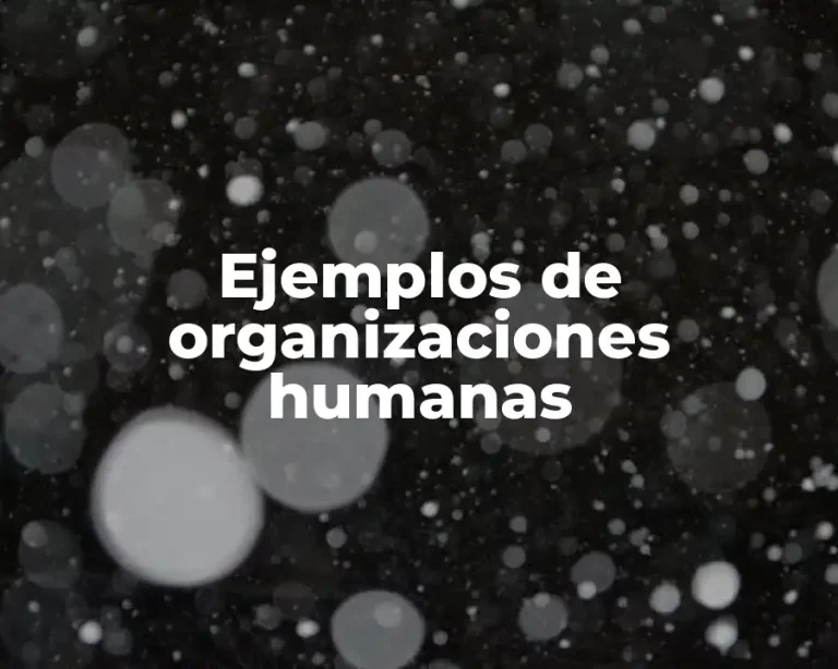 Ejemplos de organizaciones humanas