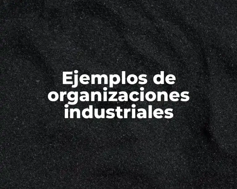 Ejemplos de organizaciones industriales