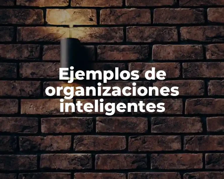 Ejemplos de organizaciones inteligentes