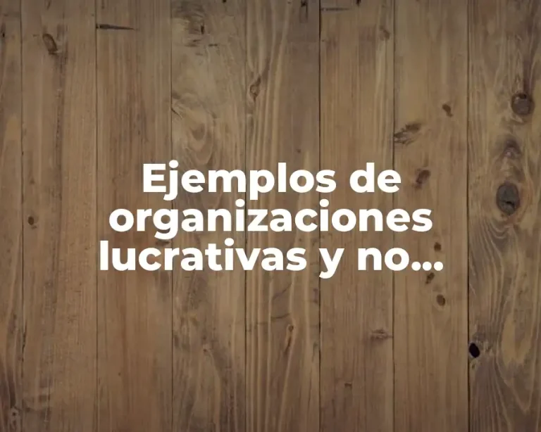 Ejemplos de organizaciones lucrativas y no lucrativas
