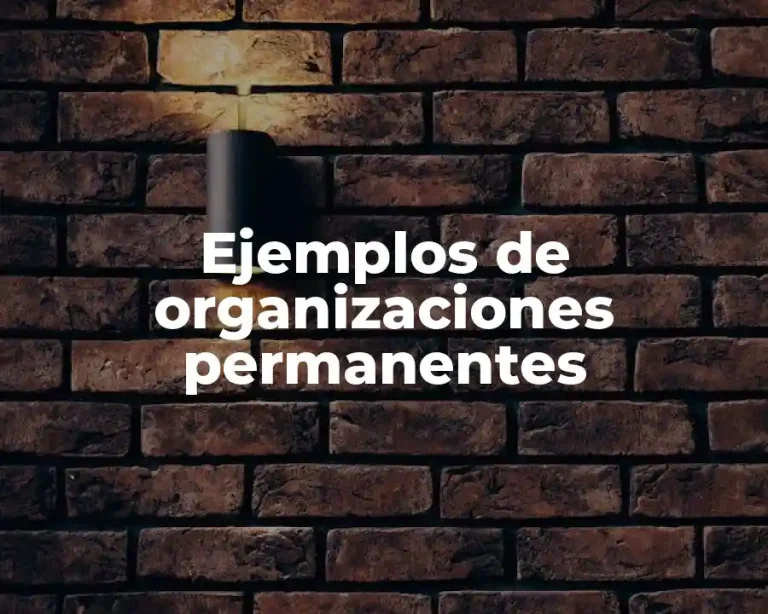 Ejemplos de organizaciones permanentes