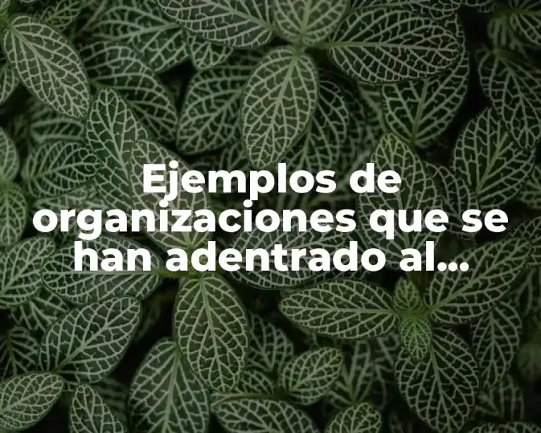 Ejemplos de organizaciones que se han adentrado al mundo virtual