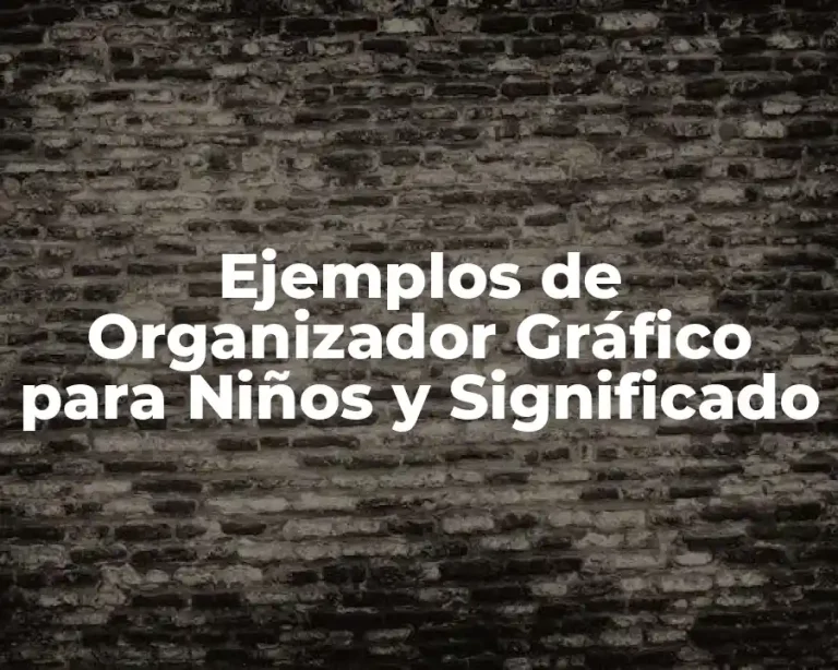 Ejemplos de Organizador Gráfico para Niños y Significado