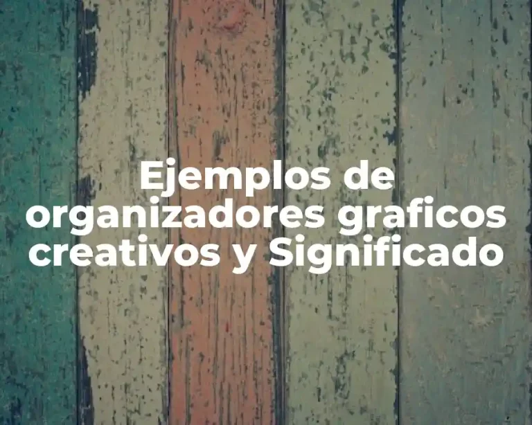 Ejemplos de organizadores graficos creativos y Significado