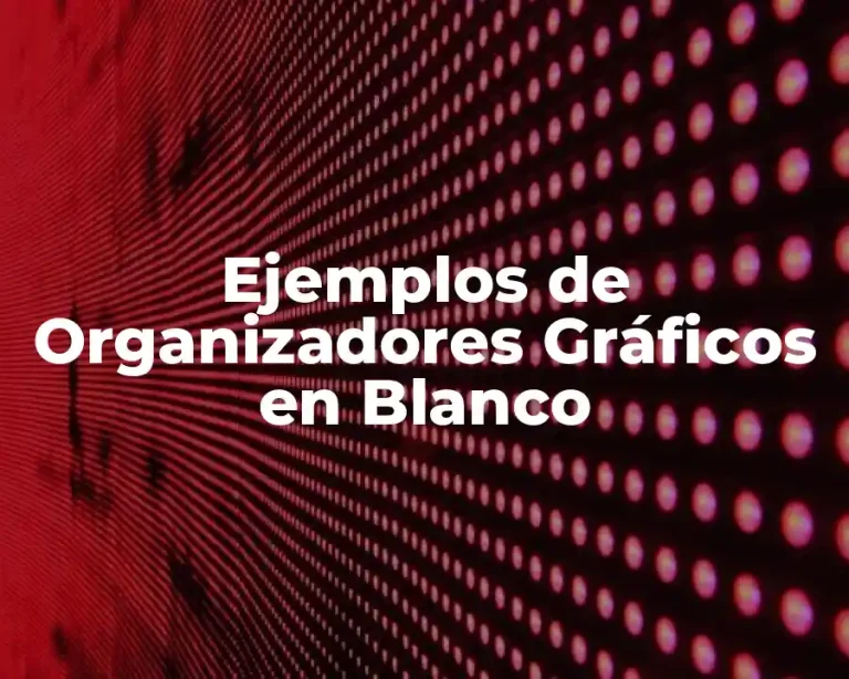 Ejemplos de Organizadores Gráficos en Blanco