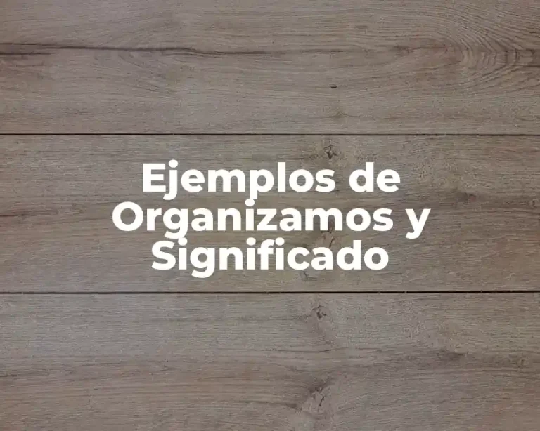 Ejemplos de Organizamos y Significado