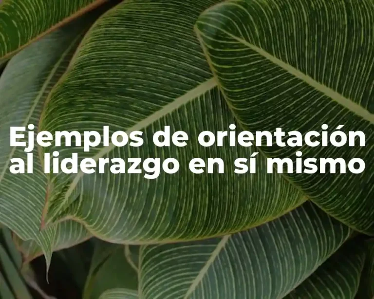 Ejemplos de orientación al liderazgo en sí mismo