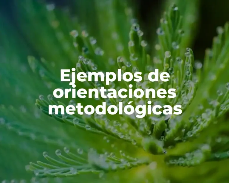 Ejemplos de orientaciones metodológicas