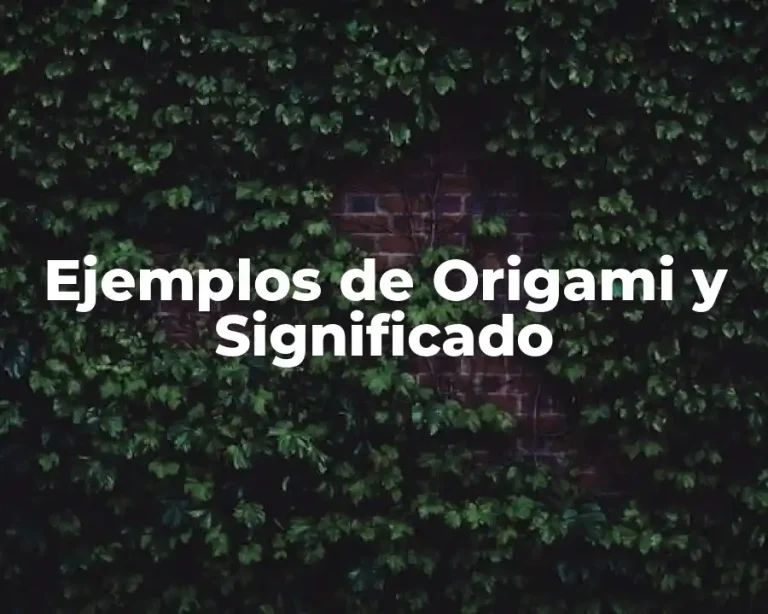 Ejemplos de Origami y Significado