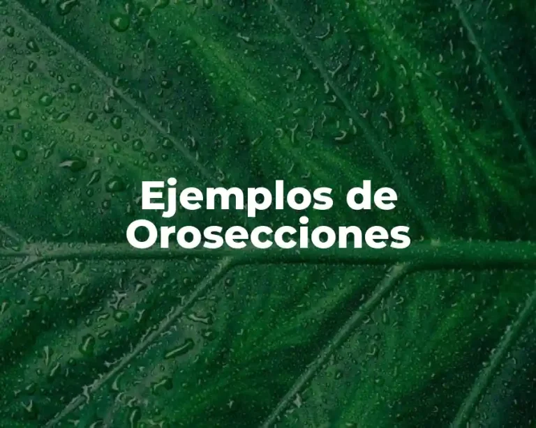 Ejemplos de Orosecciones