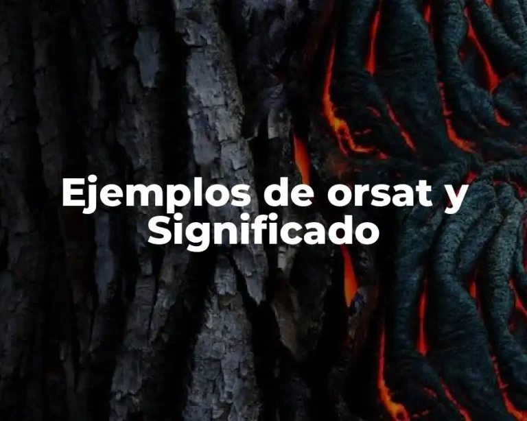 Ejemplos de orsat y Significado