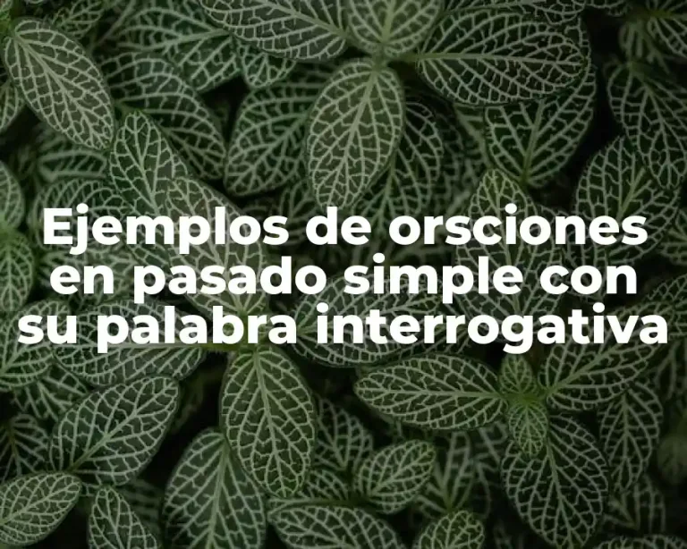 Ejemplos de orsciones en pasado simple con su palabra interrogativa