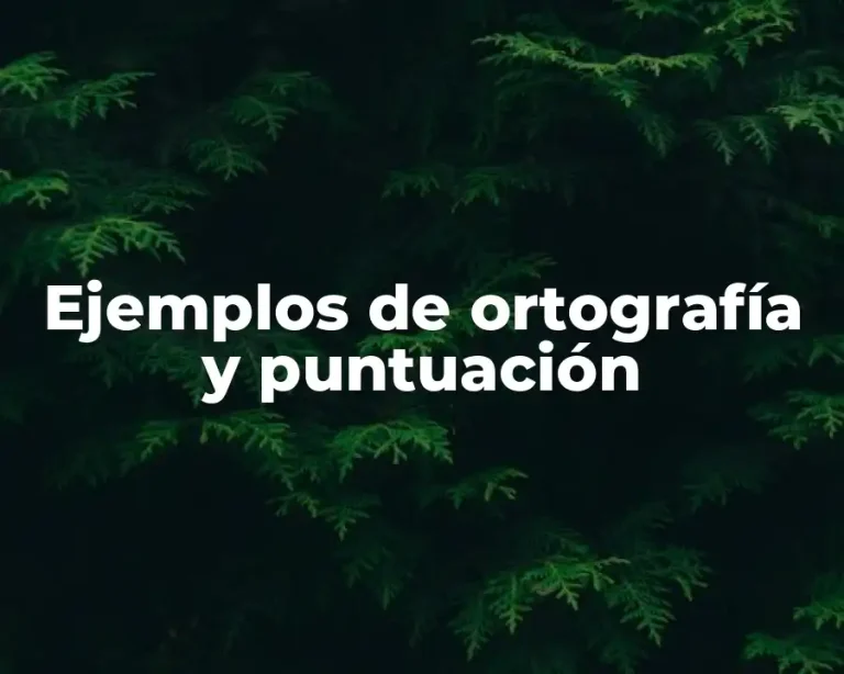 Ejemplos de ortografía y puntuación