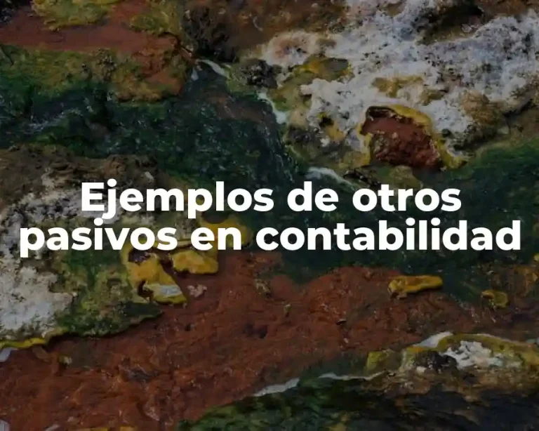 Ejemplos de otros pasivos en contabilidad