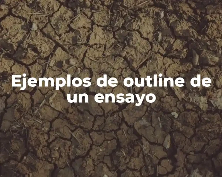 Ejemplos de outline de un ensayo