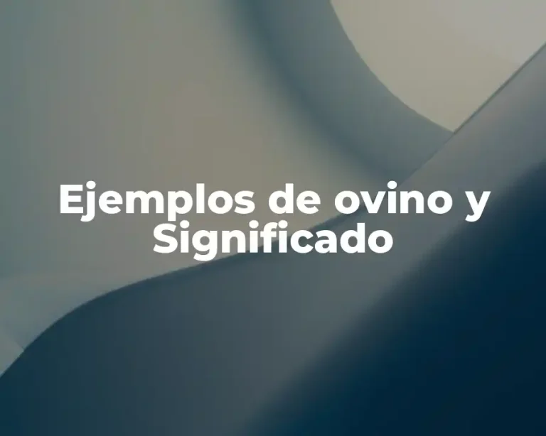 Ejemplos de ovino y Significado