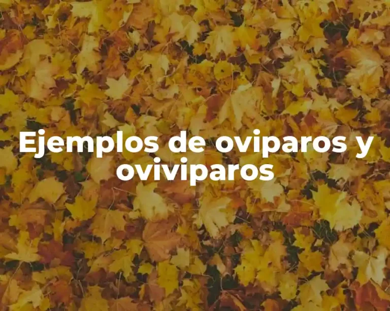 Ejemplos de oviparos y oviviparos