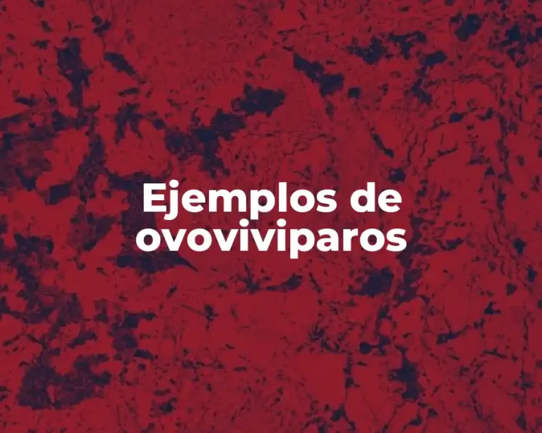 Ejemplos de ovoviviparos