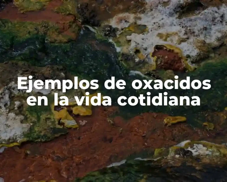 Ejemplos de oxacidos en la vida cotidiana