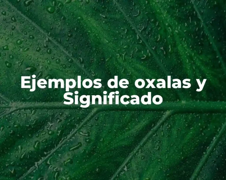 Ejemplos de oxalas y Significado