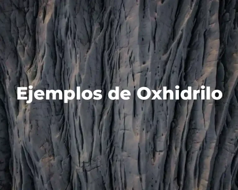 Ejemplos de Oxhidrilo