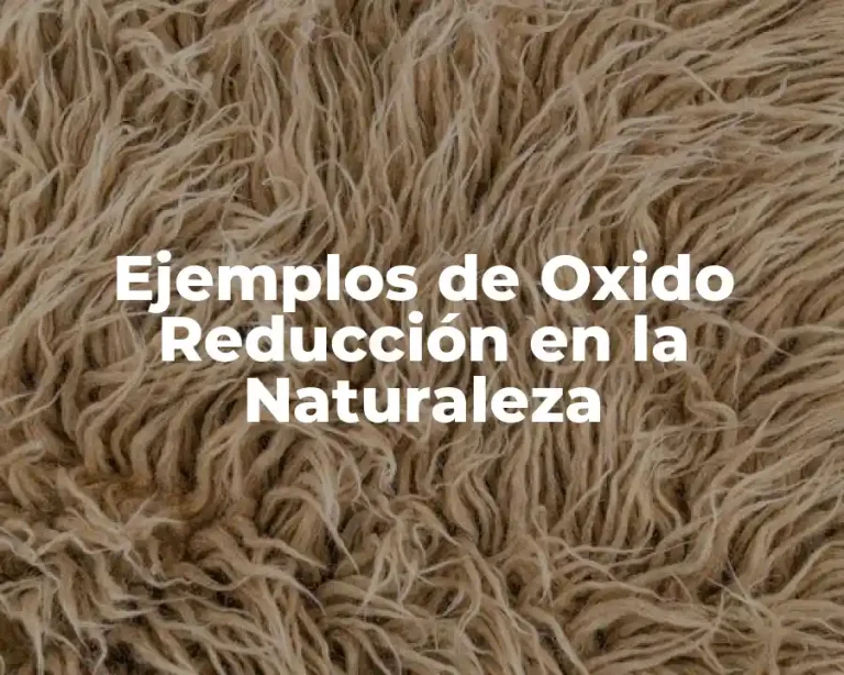 Ejemplos de Oxido Reducción en la Naturaleza
