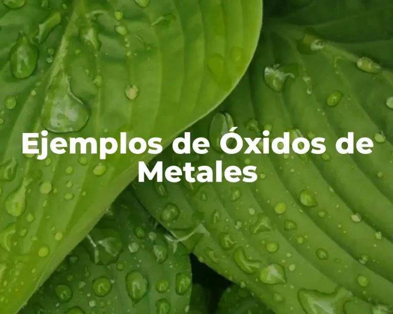 Ejemplos de Óxidos de Metales