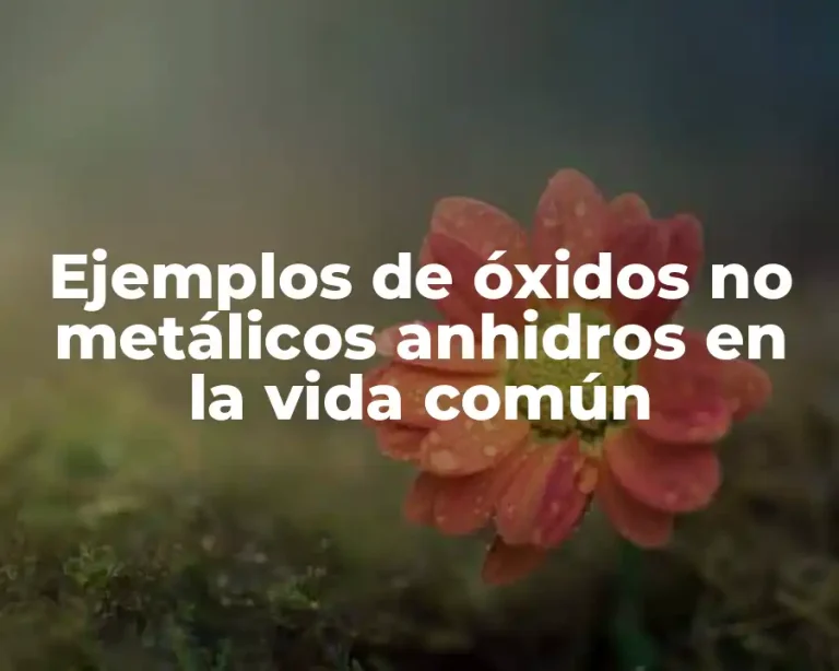 Ejemplos de óxidos no metálicos anhidros en la vida común