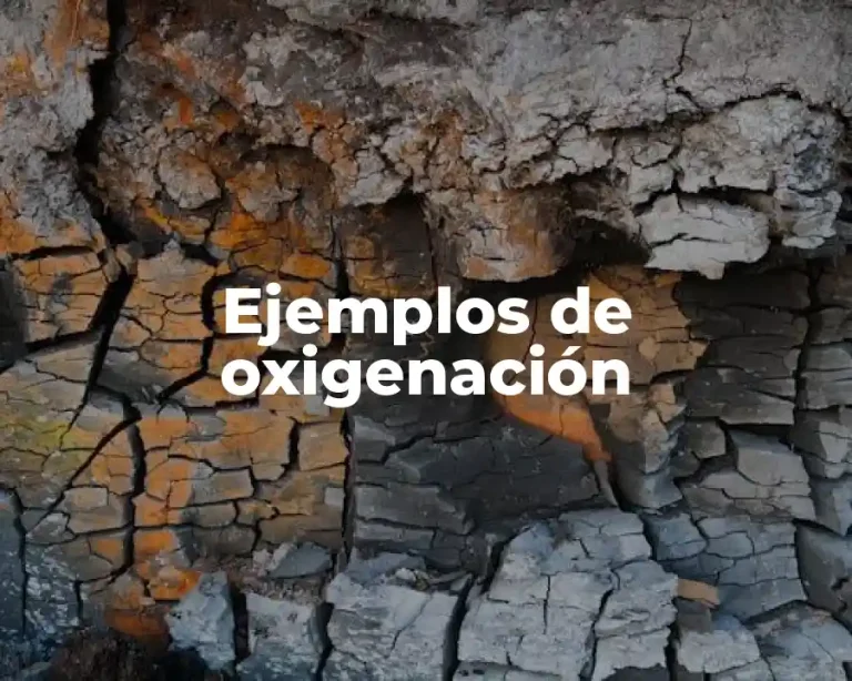 Ejemplos de oxigenación