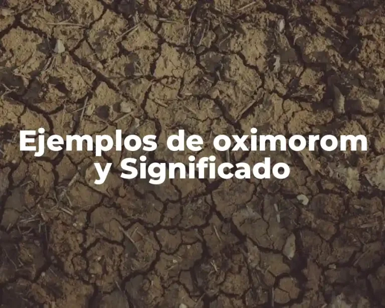 Ejemplos de oximorom y Significado