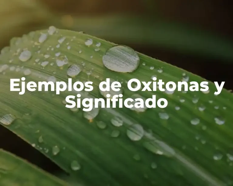 Ejemplos de Oxitonas y Significado