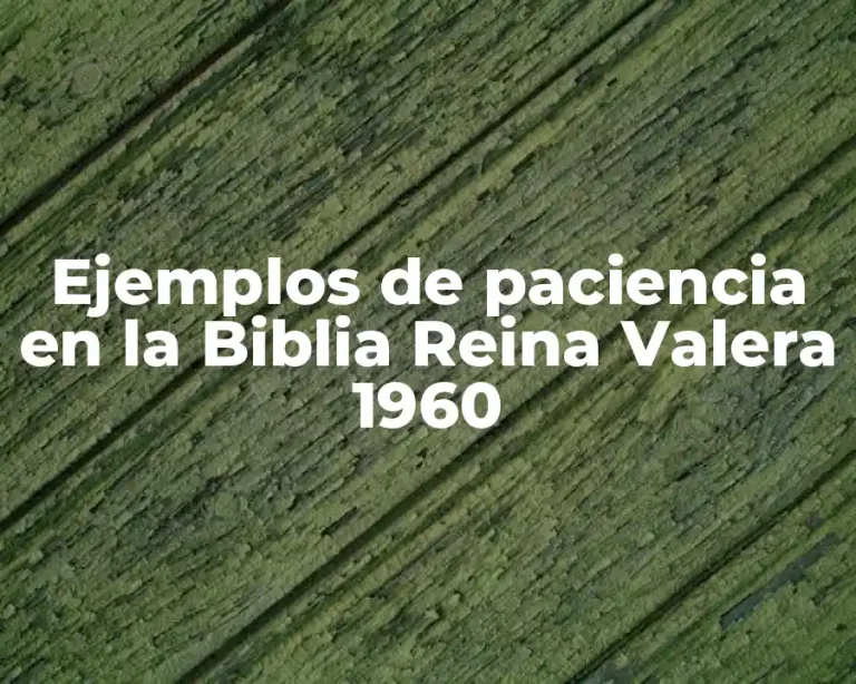 Ejemplos de paciencia en la Biblia Reina Valera 1960