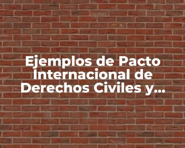 Ejemplos de Pacto Internacional de Derechos Civiles y Políticos