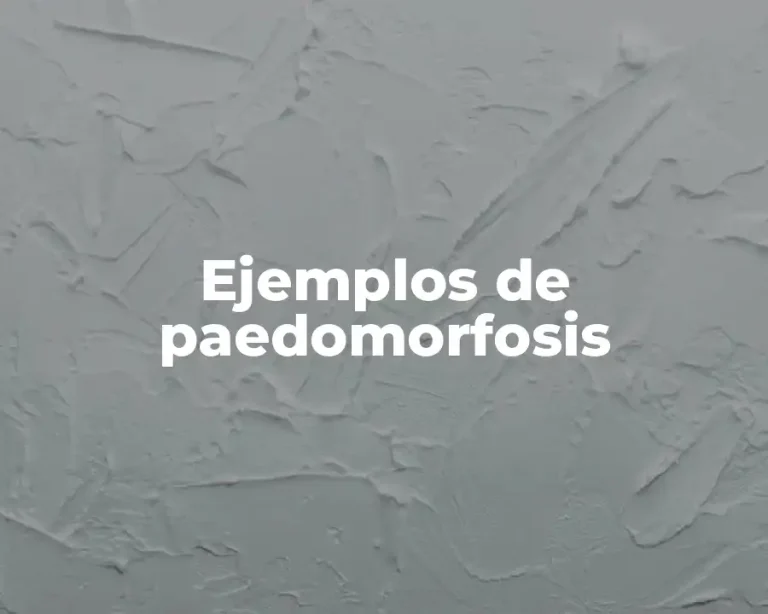 Ejemplos de paedomorfosis