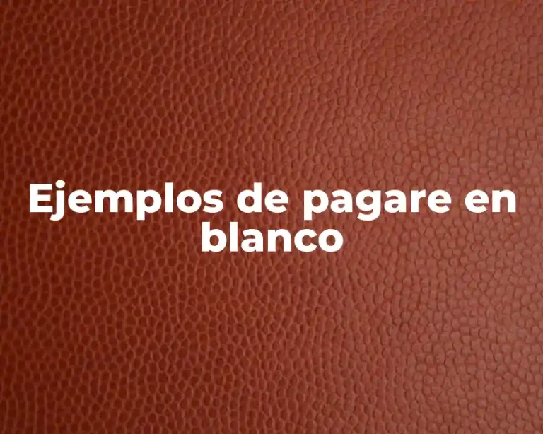 Ejemplos de pagare en blanco