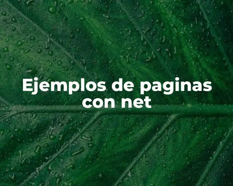 Ejemplos de paginas con net