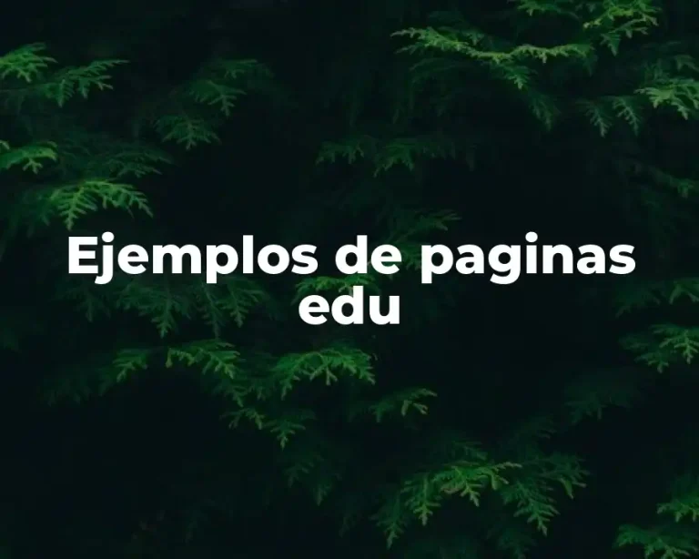 Ejemplos de paginas edu