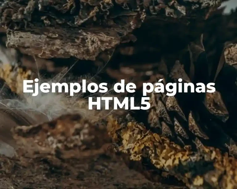 Ejemplos de páginas HTML5