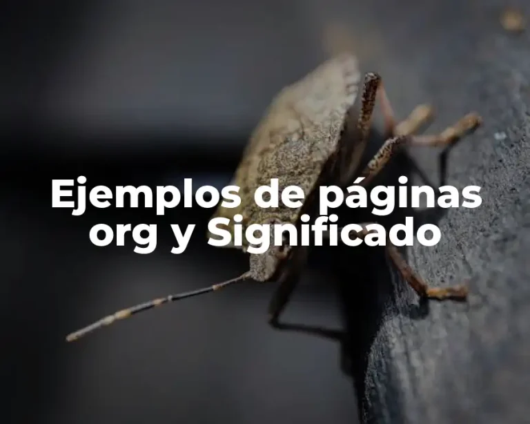 Ejemplos de páginas org y Significado