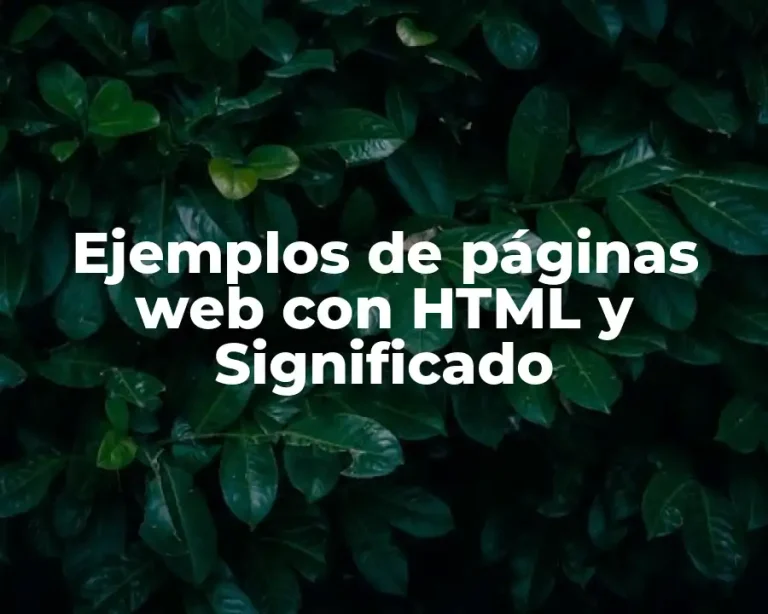 Ejemplos de páginas web con HTML y Significado