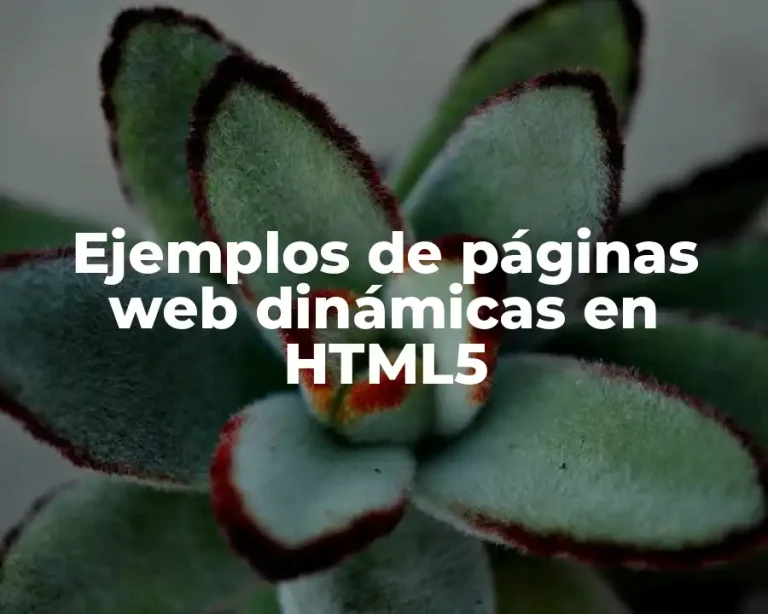 Ejemplos de páginas web dinámicas en HTML5