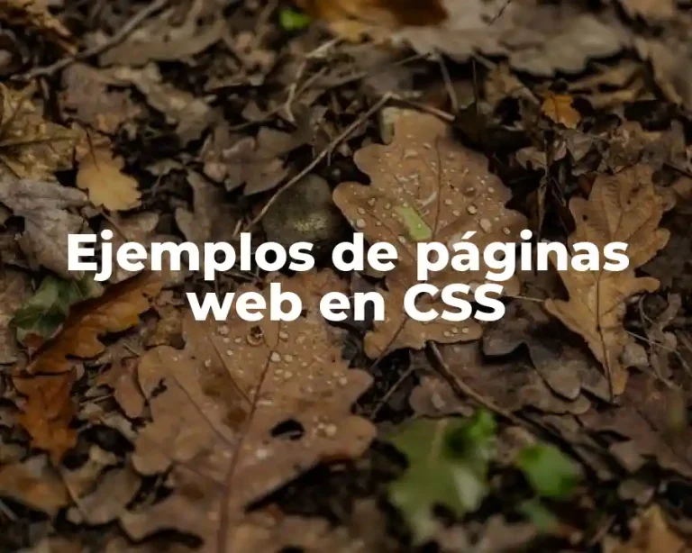 Ejemplos de páginas web en CSS