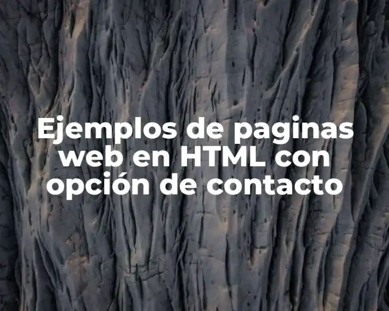Ejemplos de paginas web en HTML con opción de contacto