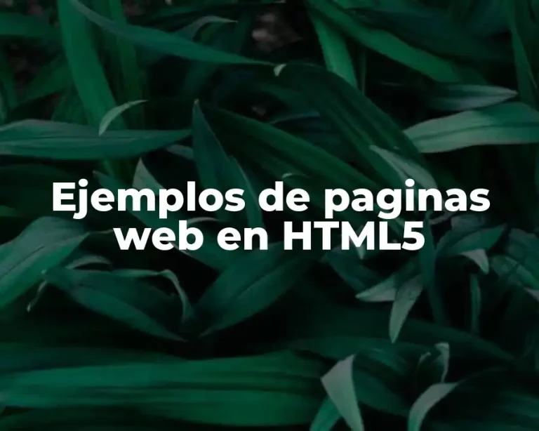 Ejemplos de paginas web en HTML5